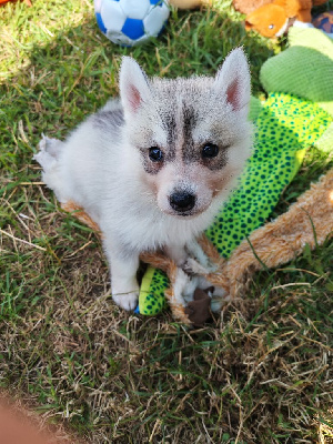 Luna